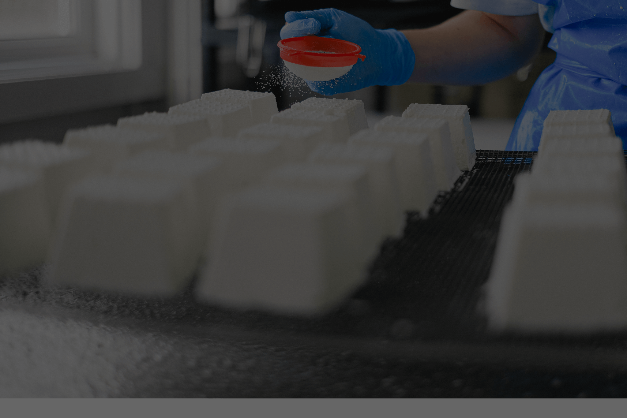 INDUSTRIALIZED FOOD ARE FAKE BECAUSE THERE ARE FOOD INGREDIENTS OF INDUSTRIAL USE PRESENT?